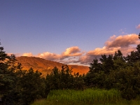 Trout River Campground